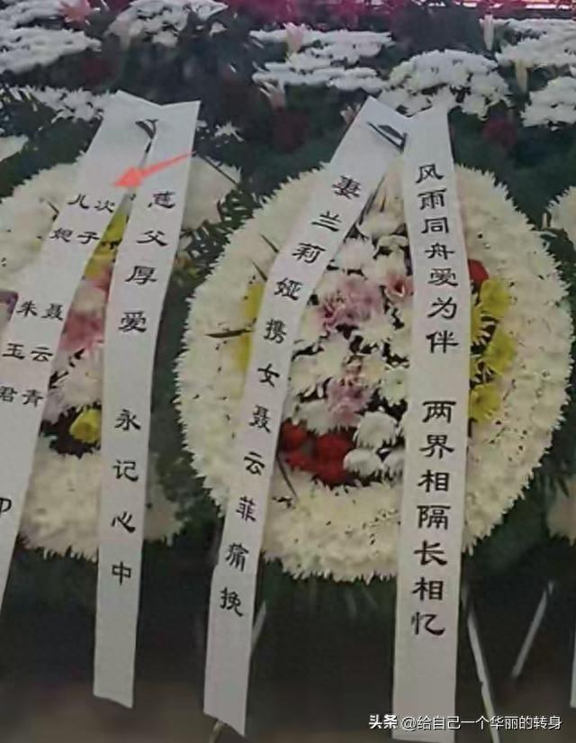 风雪送棋圣！兰莉娅14字挽联看哭全网，聂老身后事藏着多少温情？