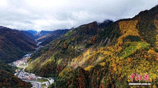 四川汶川：万亩彩林迎来最佳观赏期