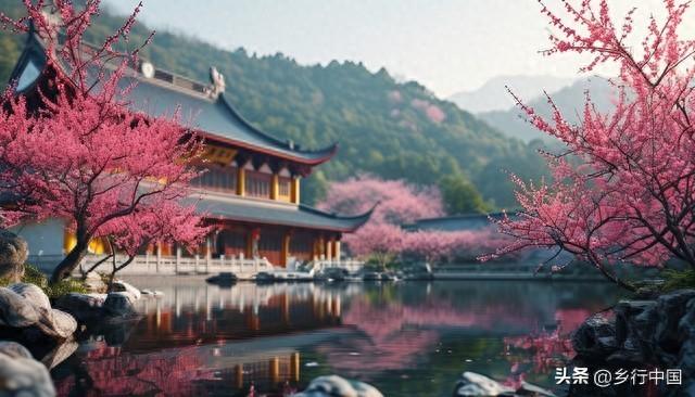 南部县寺外桃源景区：景村-乡镇-片区联动助力南西盐三县文旅发展