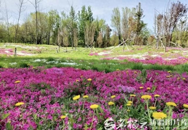 【天山 · 文旅】乌鲁木齐再添3A级景区!