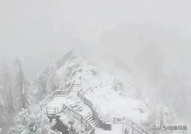 国庆假期的“白色惊喜”：一场大雪，让游客又爱又恨