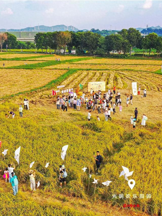 美丽深圳·每日一图｜2025年10月22日