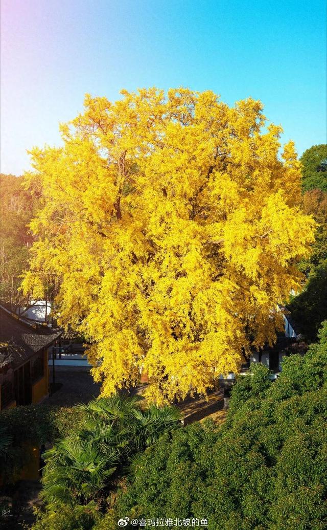 苏州十大“寿星”出炉！