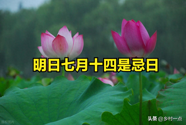 明日七月十四是忌日，中元节前一天，不管多忙，最不能做的5件事
