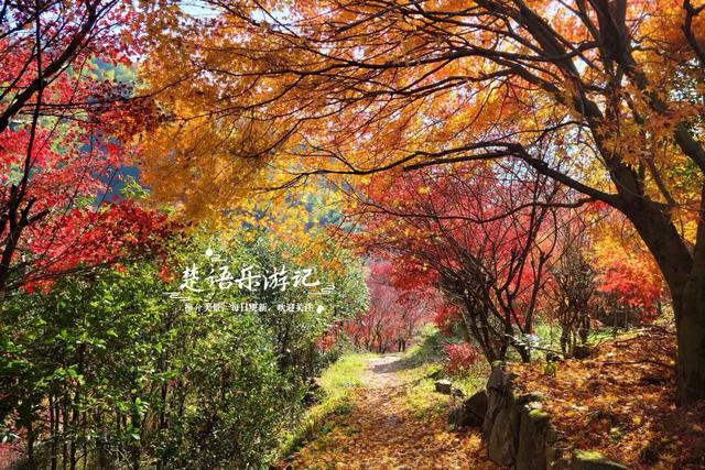 浙江宁波这两条古道堪称黄金组合，景色比油画还要美，游玩正当时