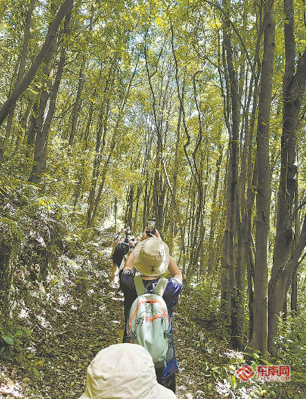 你我与考古，那么远这么近