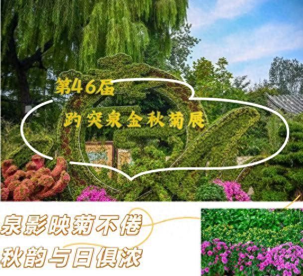 走，去趵突泉！收集秋天最靓的九宫格～