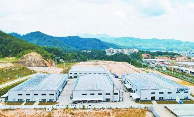 招商落地见成效｜省重点项目龙岩青橄榄环保科技二期项目：预计月底全面投产
