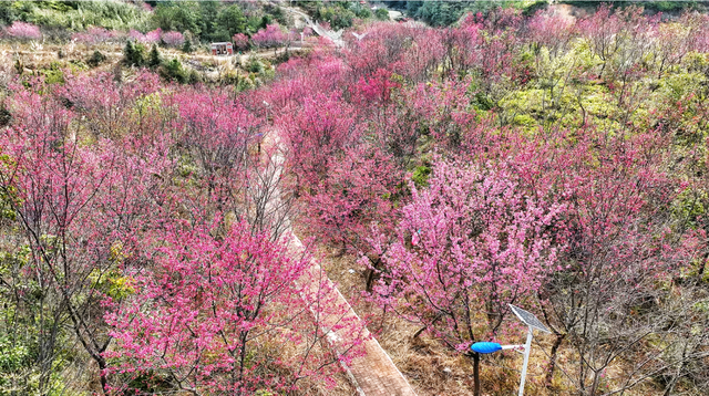 罗溪镇：创新“溪”游文旅 点燃夏日经济