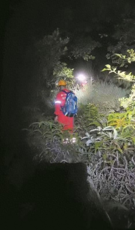 厦门一男子登山被困密林 绝望之际他向家人交代银行卡密码