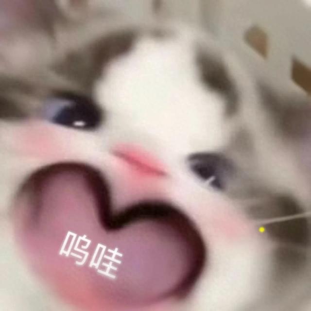 99元畅玩9大馆!快带娃打卡宋庄暑期博物季——