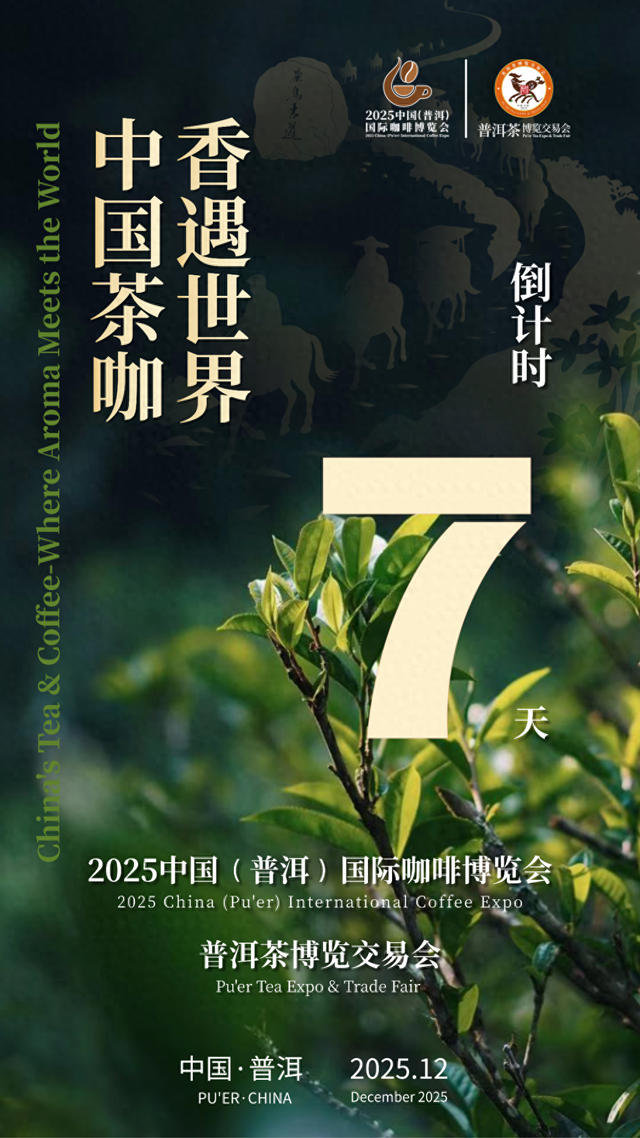 倒计时7天！解锁2025普洱茶咖博览会的N种宝藏玩法