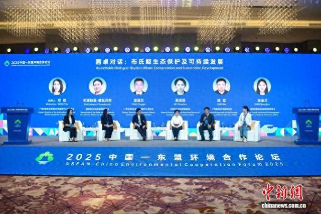 中国和东盟专家探讨布氏鲸研究与保护工作的跨境协作