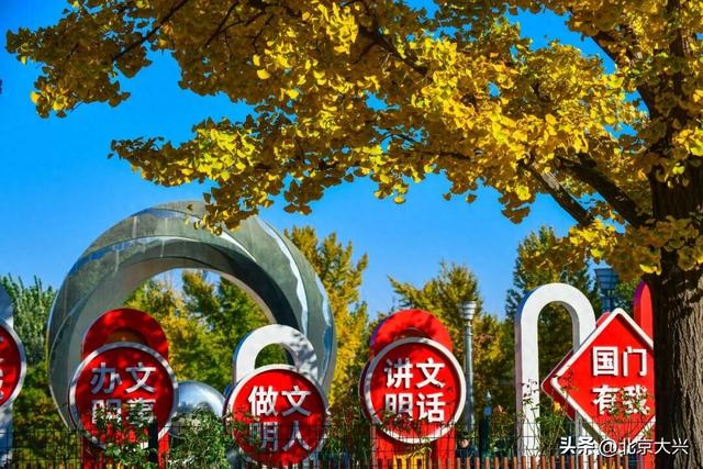 限定上新！大兴的秋景一眼心动🥰🥰