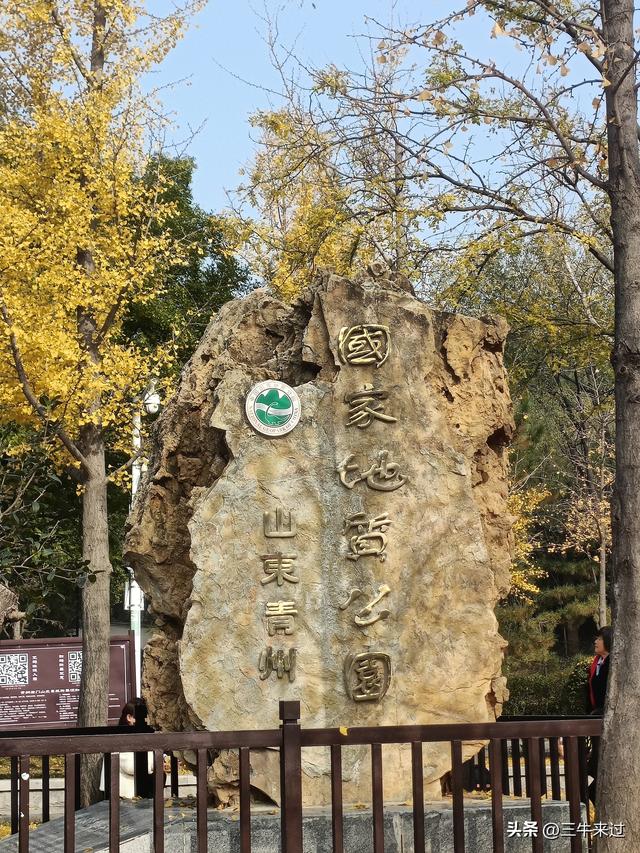 无为在歧路，漫游青州城