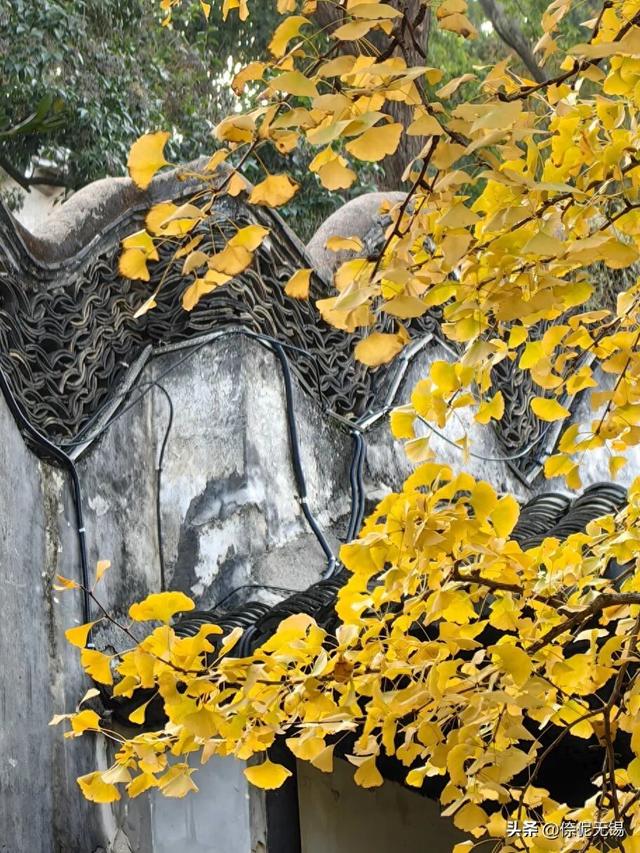 拥堵预警！这周末大家都去......