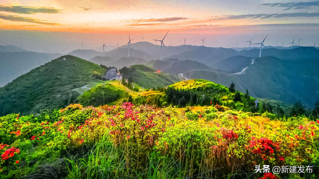 11月灵华限定！藏在深山里的“金色童话”