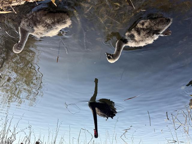 小雪宜出游，颐和园里游人赏初冬美景