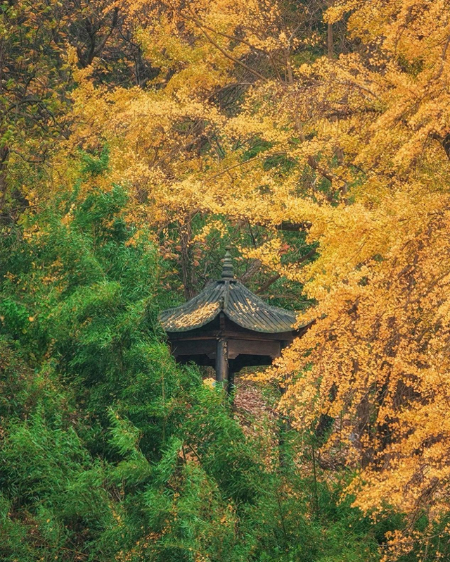 秋日汀泗之物阜民丰