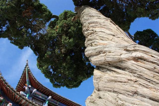 朱提文苑 | 漫步书院忆往昔 思绪悠悠话人生