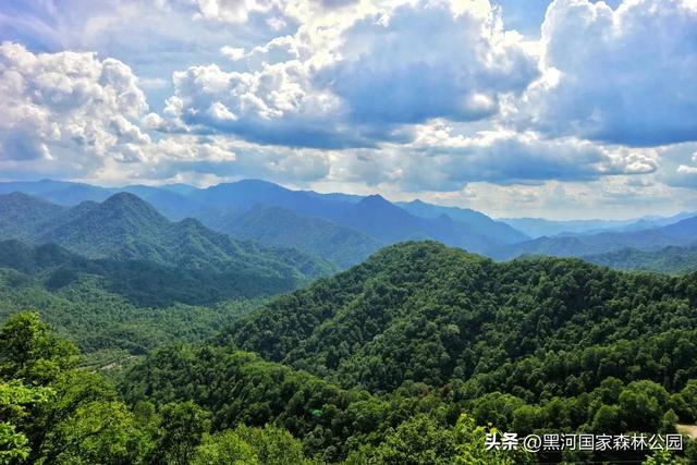 高温别怕！进山纳凉来黑河，山水环绕凉快极了！
