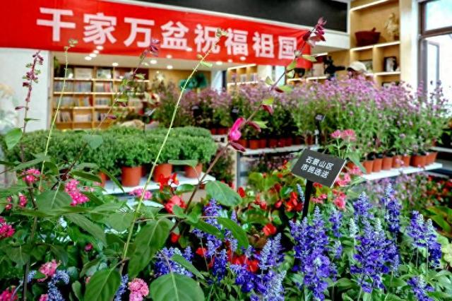 大美北京|850盆市民培育的鲜花将亮相长安街