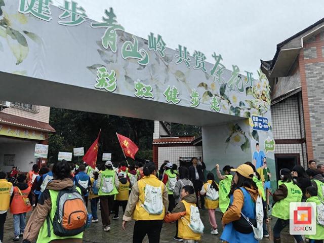 油茶花开映富顺，文旅融合启新篇——2025年富顺县琵琶镇第六届油茶花文化旅游活动启幕