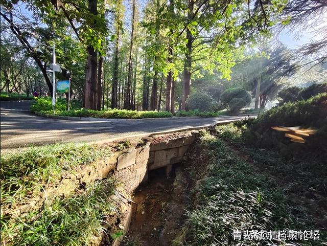 中山公园里的新发现，106年历史的老石桥！