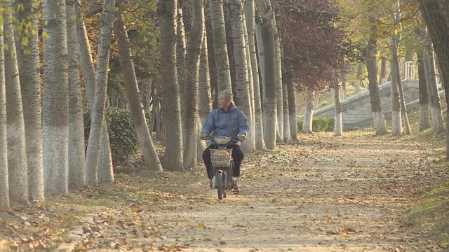 冬日沁水河畔 奏响“静美乐章”