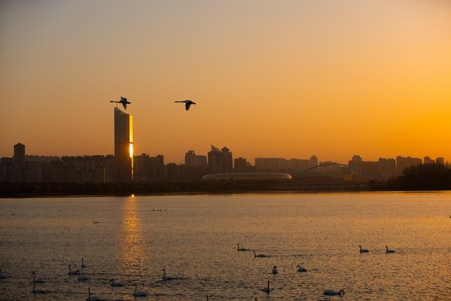 河南文旅力推三门峡：为何这座豫西小城能稳站文旅C位