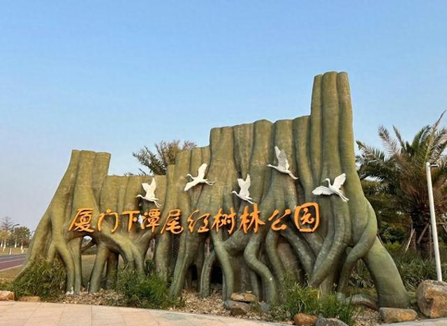 厦门下潭尾湿地公园，被称厦门版的马尔代夫，海上森林，颜值爆表