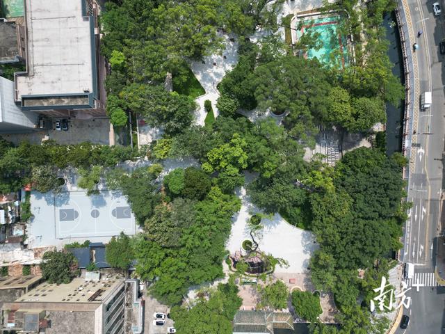 百年中山公园将全新开放，东莞城工集团以匠心守护城市记忆