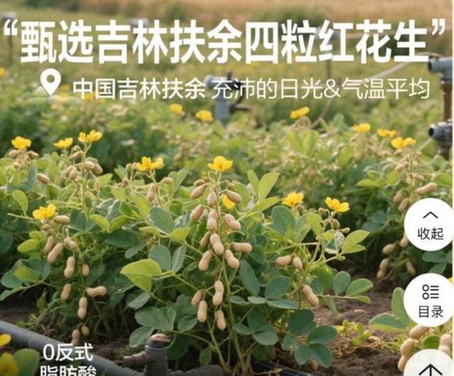 花生上树广告引热议，AI成替罪羊？使用者专业素养为问题关键！