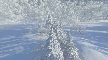 @在外的老铁：今年冬天 等你回家