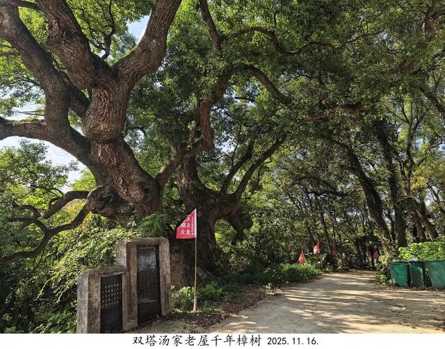 九江文史 | 太平宫纪行