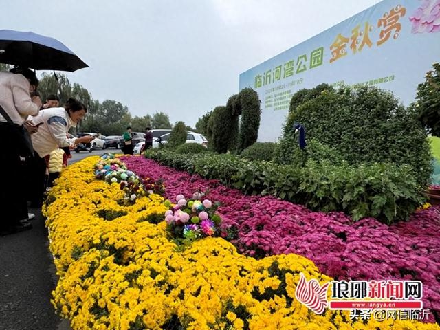 临沂秋日太“卷”了！承包你的秋日浪漫