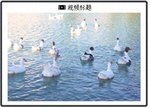 马斯克的下一个目标：太空AI卫星？