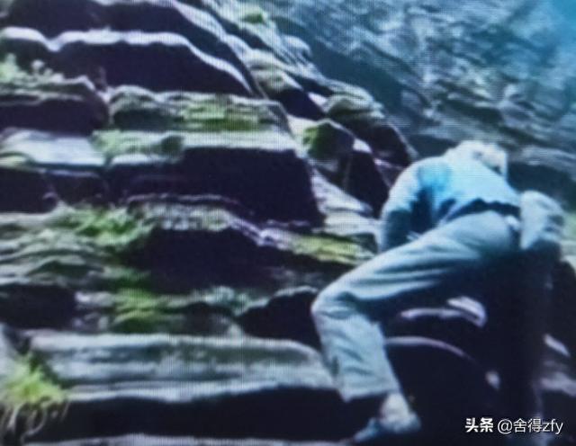 走自己的路让别人去说吧什么意思（走自己的路让别人去说吧这句话该怎样理解）