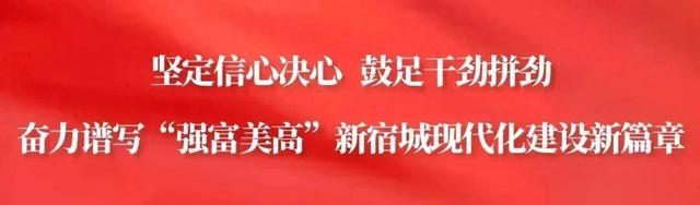 省级认定！宿城+16