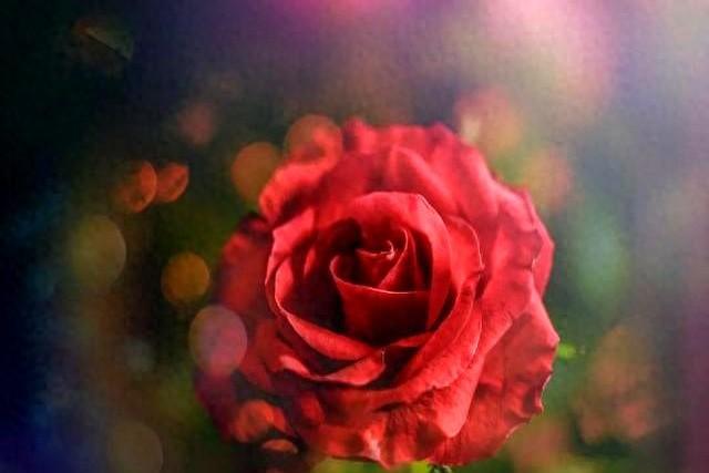 让一个男人爱上你以后离不开，不是你的长相，而是以下几种感觉