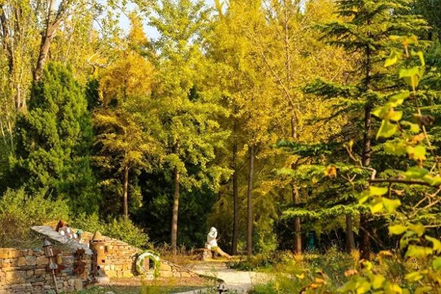 当立冬遇见金秋，北京动物园赏秋打卡攻略