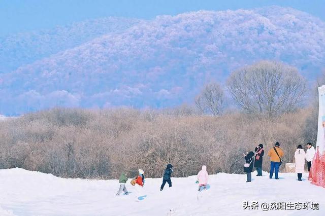 沈阳生态之美 | 沈阳棋盘山雾淞漫卷