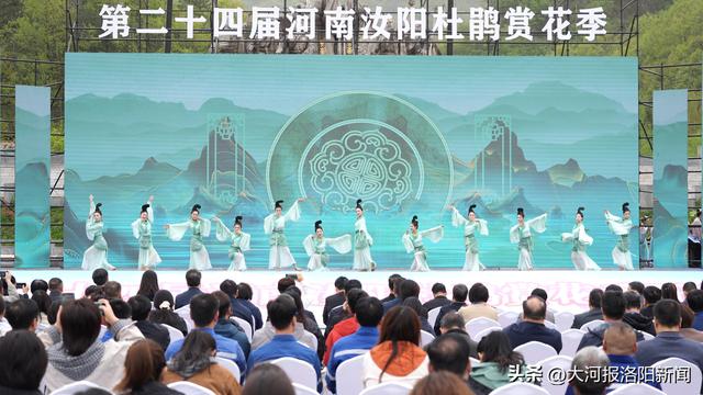 藏不住了！河南汝阳10万亩野生杜鹃花海迎盛花期