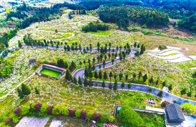 重庆北碚茨竹镇：成渝双城“会客厅”从省界末梢到新区前沿