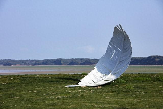 候鸟为信，赴一场鄱阳湖的秋日之约：吴城观鸟漫步指南