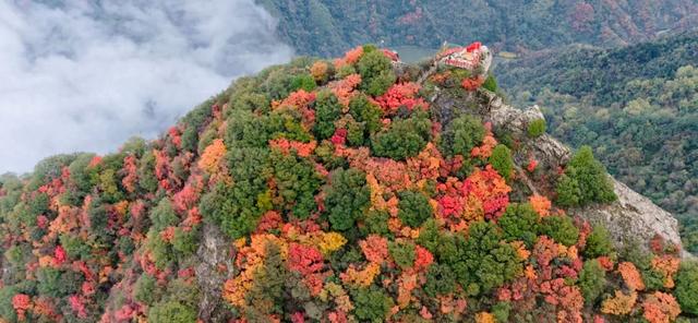 初冬的第一场旅行不如“进山游”→