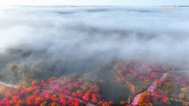 来榆阳，看黄土高原晨雾缥缈美如画