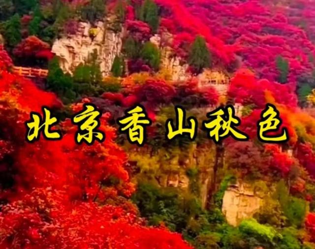 北京香山红叶