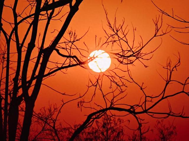 夕阳为京城加上金红色滤镜，绘就冬日诗意美景