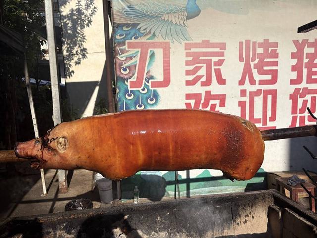 【外眼看云南】美食与乡村新景：缅甸顶流博主夫妇的陇川惊喜之旅